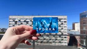 Что можно оплатить картой «Тройка» кроме транспорта в Канцлер