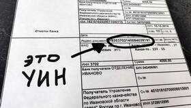 Что означает УИН в платежном поручении в Канцлер