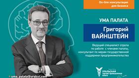 Государственная поддержка малого и среднего бизнеса в Канцлер