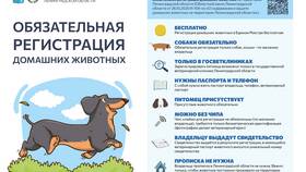 Как оформить регистрацию в паспорте в Канцлер
