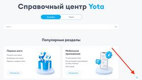 Как перенести номер Йота (Yota) на другого оператора в Канцлер