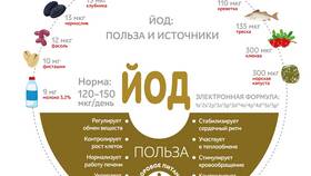 От чего зависит суточный расход энергии человека в Канцлер