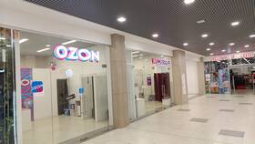 Перспективы закрытия Wildberries и Ozon: реалии и прогнозы в Канцлер