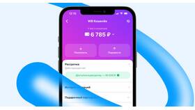 Почему не получается улучшить кошелек Wildberries в Канцлер