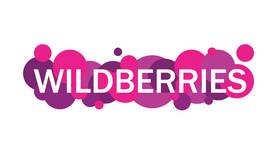Почему не работает поддержка Wildberries в Канцлер