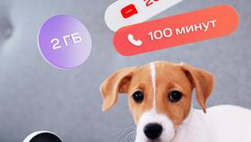 Сколько активируется SIM-карта МТС в Канцлер