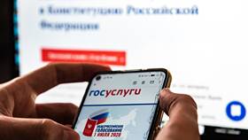 Сколько времени проверяется паспорт на Госуслугах в Канцлер