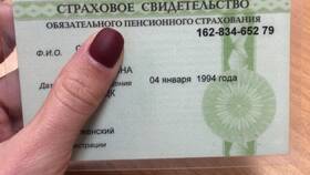 Зачем нужно пенсионное свидетельство в Канцлер