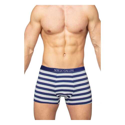 Трусы мужские SERGIO DALLINI SG2959 синие L в Канцлер