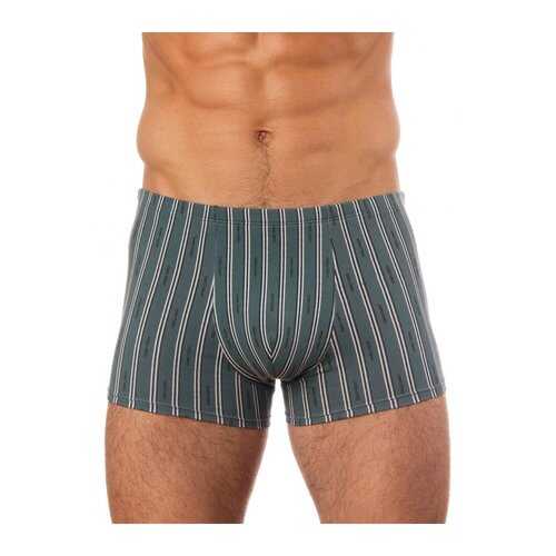 Трусы мужские UOMO FIERO 039FH зеленые XL в Канцлер